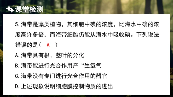 3.1.1 藻类、苔藓和蕨类植物 课件 人教版生物七年级上册(共27张PPT)