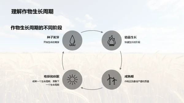 农作物生长与栽培科普