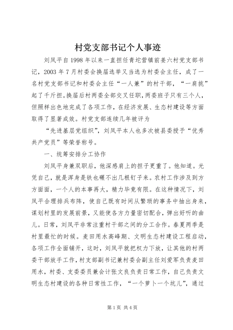 村党支部书记个人事迹 (3).docx