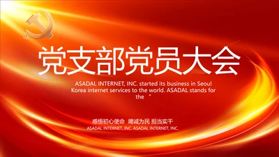 红色党支部党员大会年终工作总结PPT