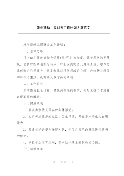 新学期幼儿园财务工作计划3篇范文.docx