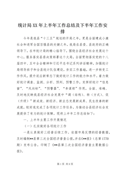 统计局XX年上半年工作总结及下半年工作安排精编.docx