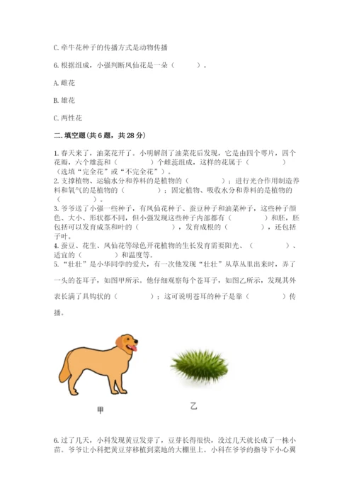 科学四年级下册第一单元《植物的生长变化》测试卷精品【易错题】.docx