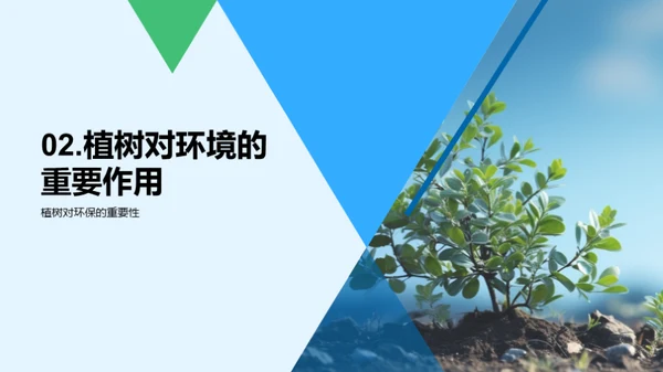 植树环保 掌握未来