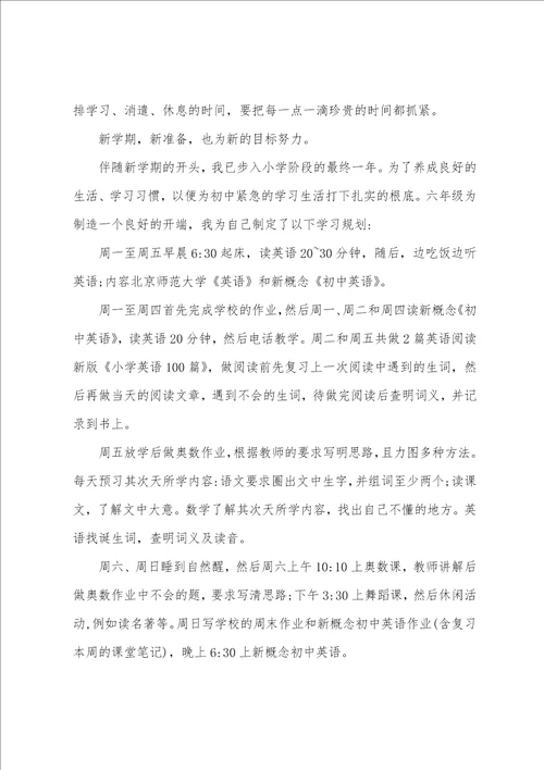 小学生新学期个人学习计划9篇