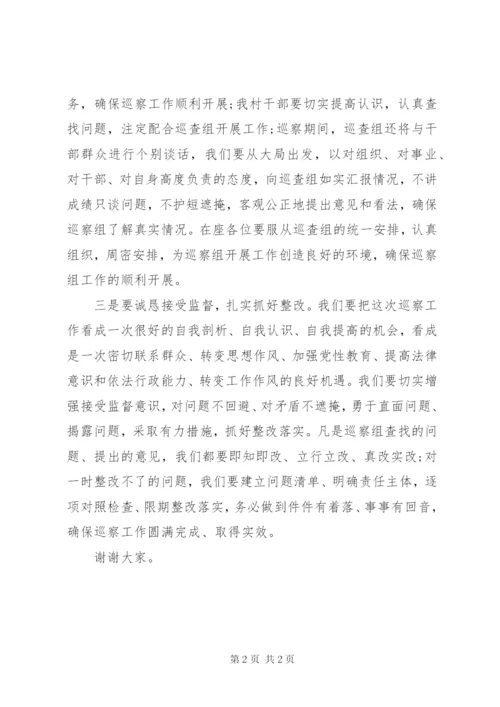 村支部书记巡察整改表态发言.docx