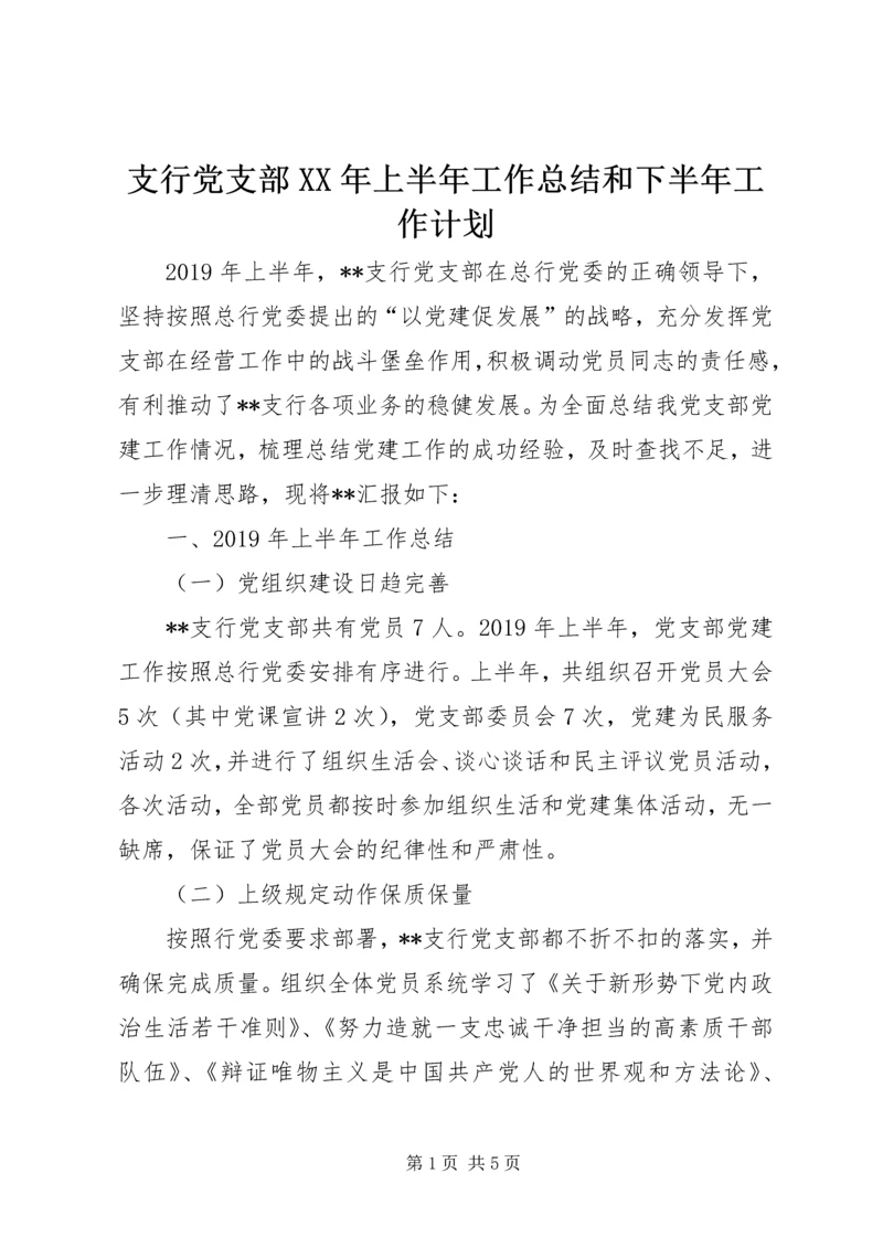 支行党支部XX年上半年工作总结和下半年工作计划.docx