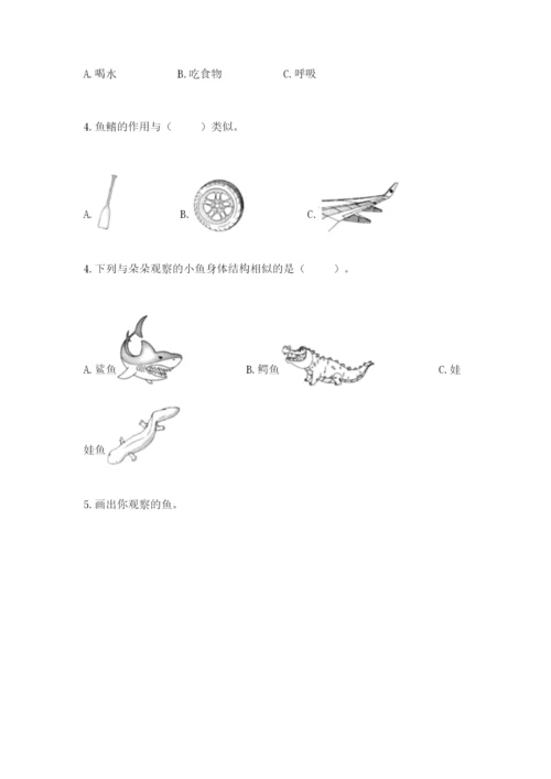 教科版小学科学一年级下册期末测试卷附答案（培优b卷）.docx