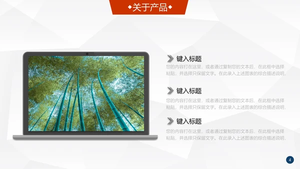 全球化信息科技公司介绍企业简介通用PPT模板