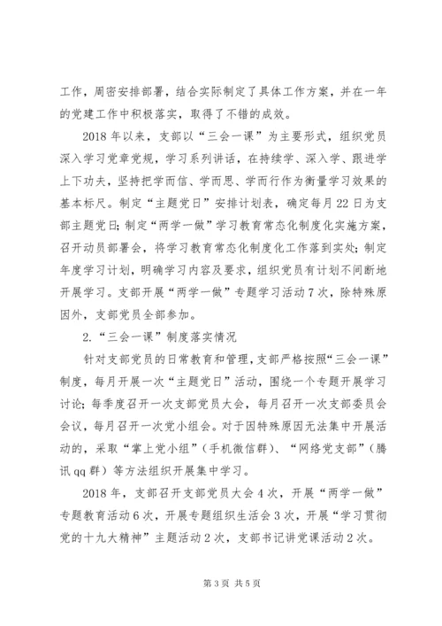 公司书记抓支部党建工作述职报告.docx