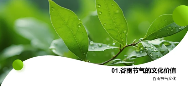 谷雨营销新视界