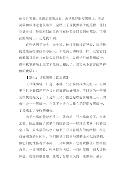 寻找黑骑士读后感300字.docx