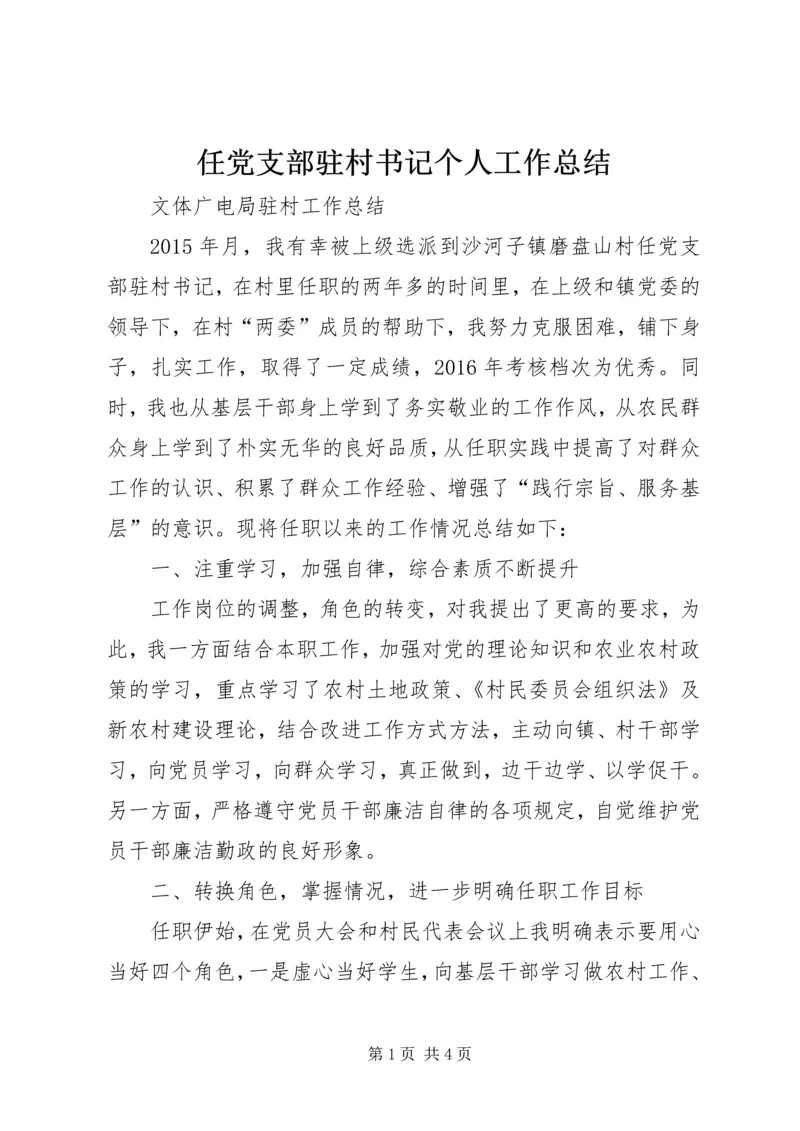 任党支部驻村书记个人工作总结.docx