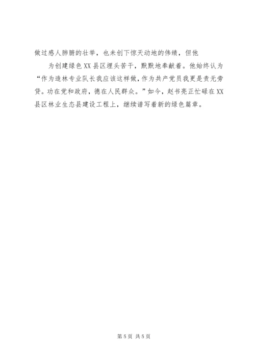 XX县区赵书亮造林事迹.docx