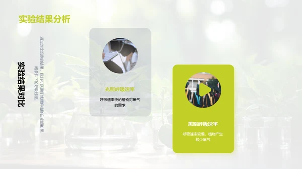 探索植物之呼吸奥秘