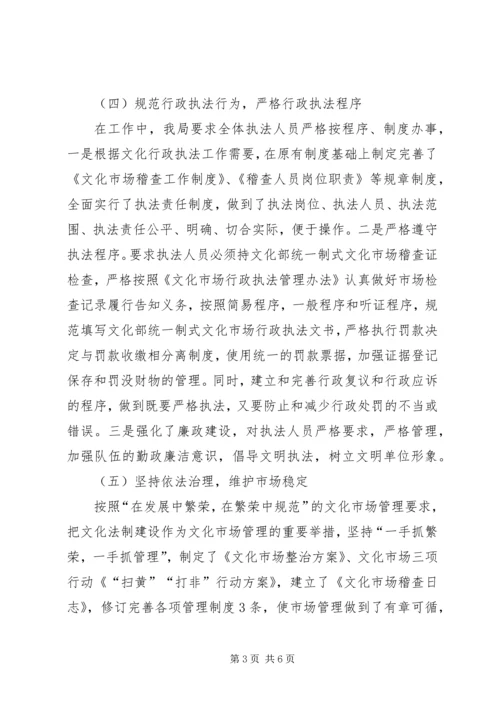 县文新广体局依法行政工作情况汇报.docx