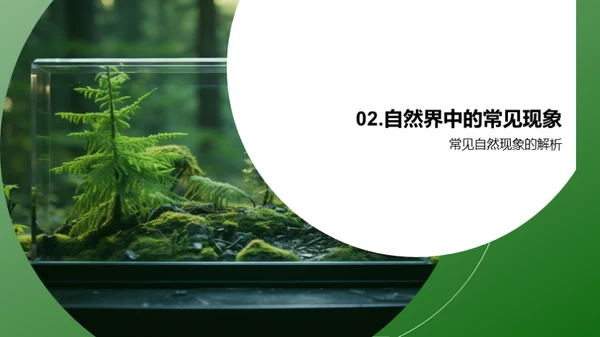 探秘自然世界