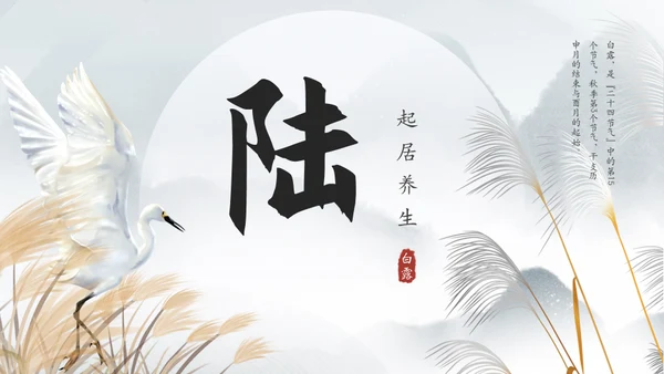 白露白鹤通用PPT模板