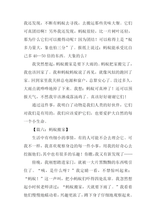 蚂蚁搬家作文.docx