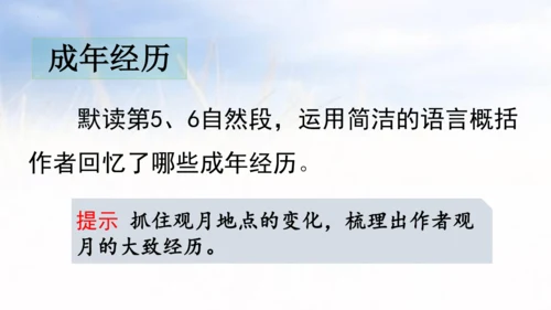 3.月是故乡明   课件