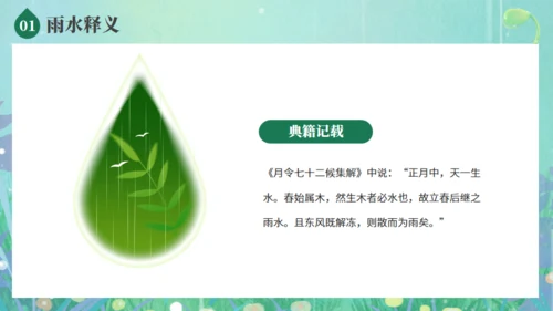 雨水节气春雨发芽背景通用PPT模板