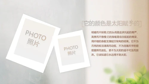 致青春毕业季大学毕业纪念册电子相册动态PPT