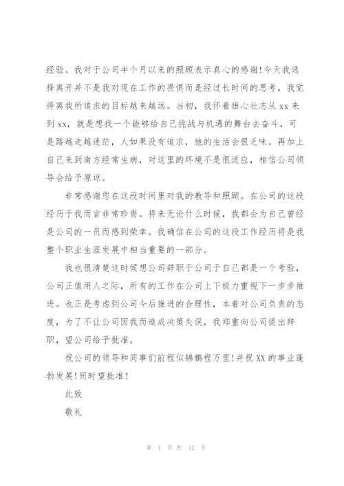 设计师辞职报告6篇.docx