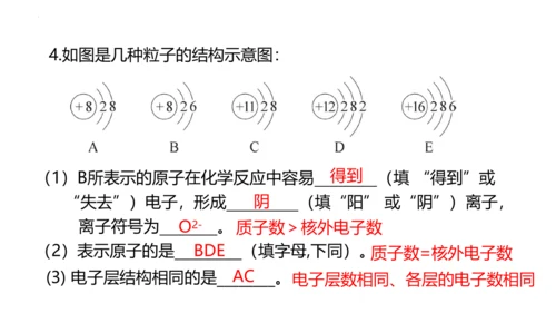 3.2原子结构课件(共48张PPT)----2024--2025学年九年级化学人教版（2024）上册