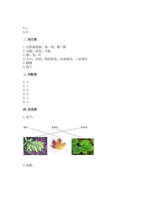 教科版科学一年级上册第一单元《植物》测试卷含答案（模拟题）.docx