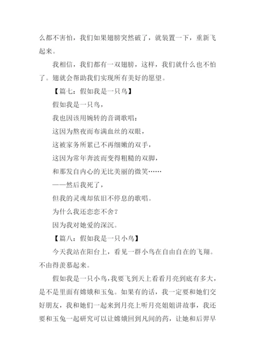 假如我是一只鸟作文200字.docx