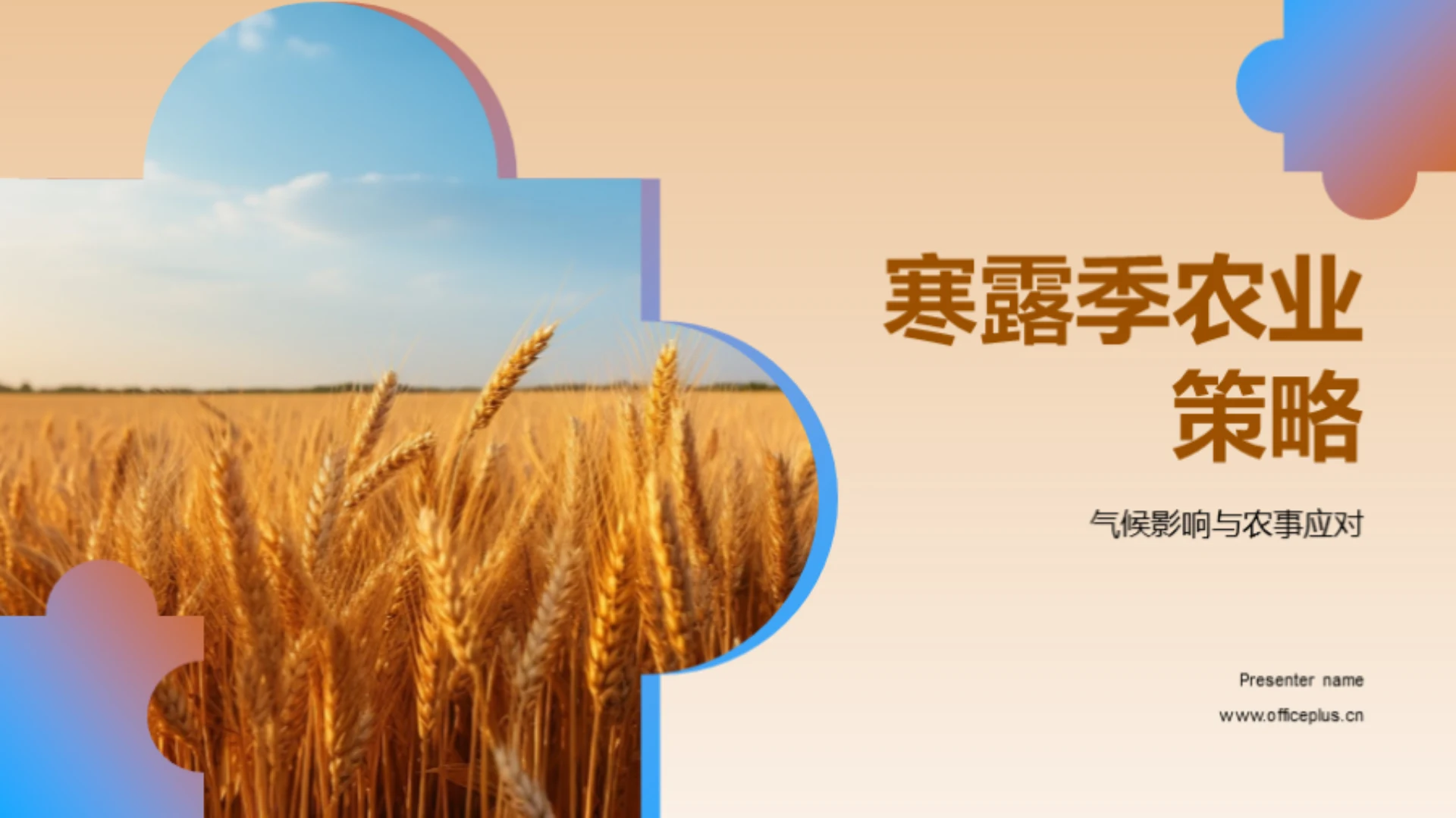 寒露季农业策略