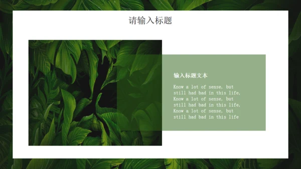 绿色七月你好绿叶背景通用PPT模板