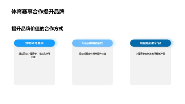 体育营销：全球视角