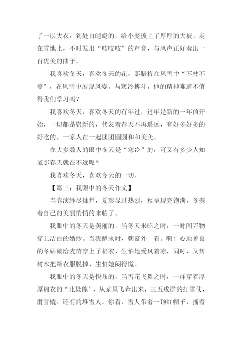 作文我眼中的冬天.docx
