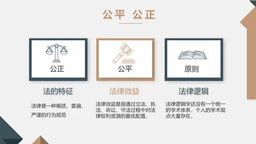 严谨大气法律法学律师工作汇报动态PPT模板