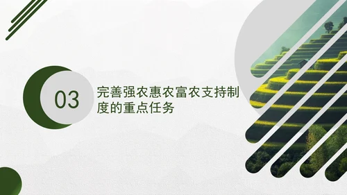 二十届三中全会关于完善强农惠农富农支持制度党课ppt