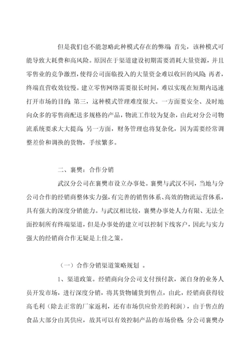 某某分公司营销渠道运营模式案例.docx