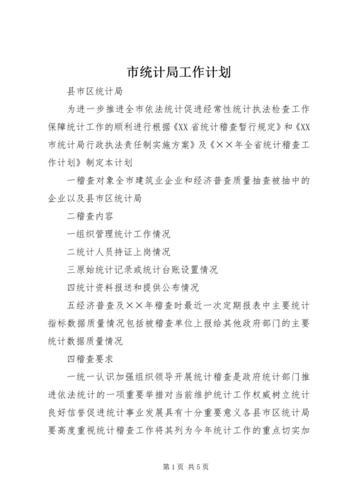 市统计局工作计划.docx
