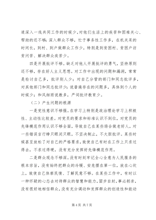 县政府党组民主生活会发言提纲 (5).docx