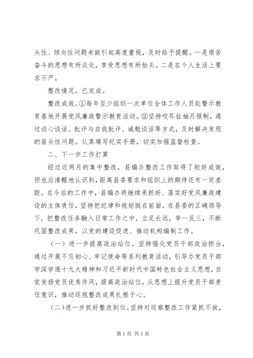 关于巡察整改情况的报告.docx