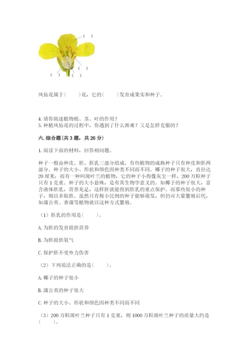 教科版四年级下册科学第一单元《植物的生长变化》测试卷（精华版）.docx