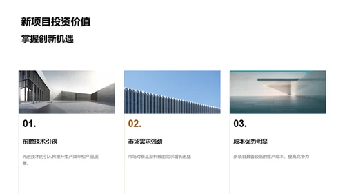 新项目 潜力无限
