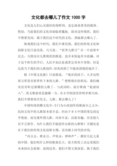 文化都去哪儿了作文1000字.docx