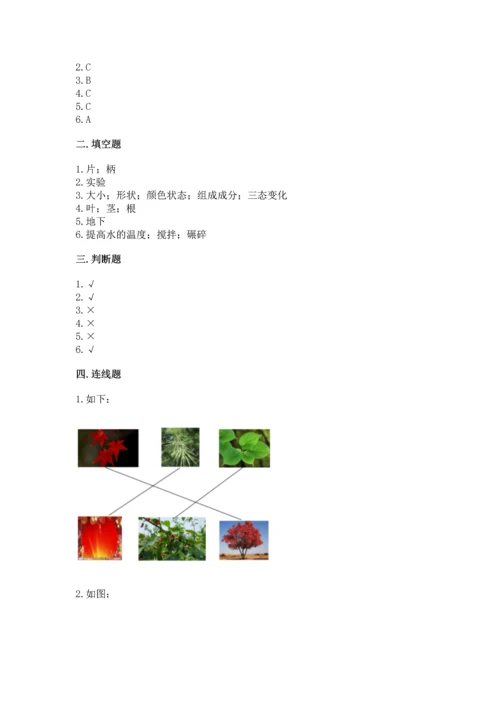 教科版科学一年级上册第一单元《植物》测试卷（综合题）word版.docx
