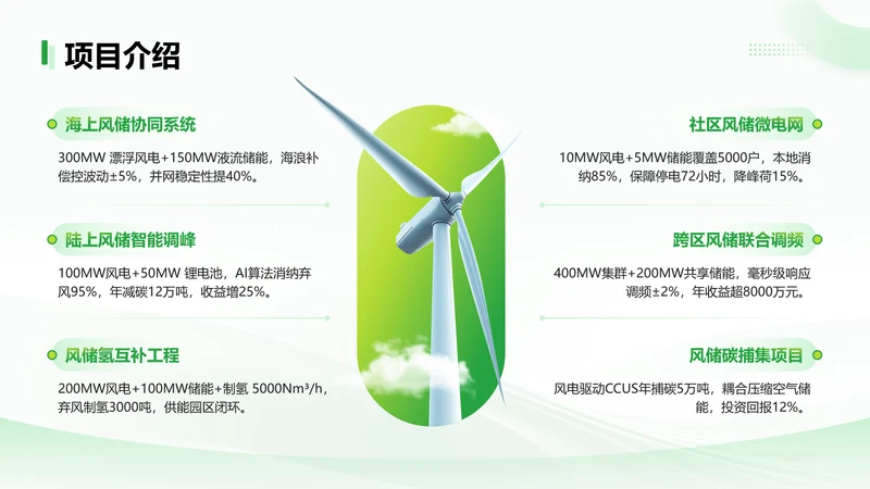 绿色简约风风储项目介绍