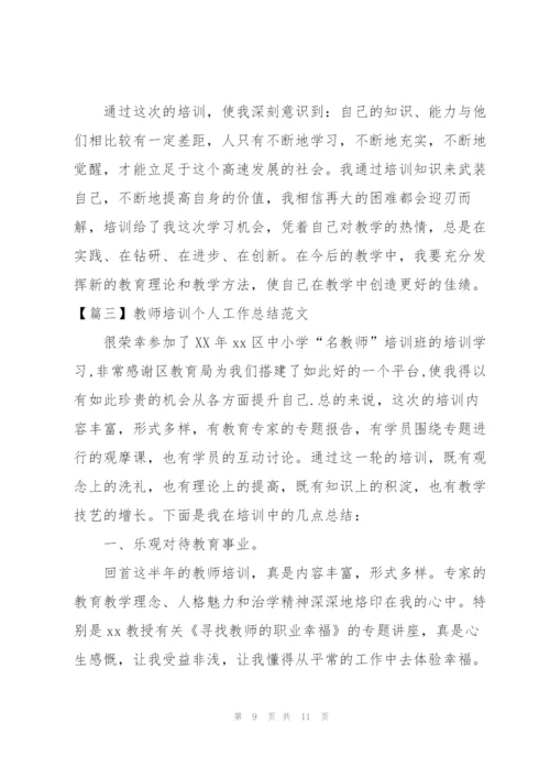 教师培训个人工作总结范文.docx