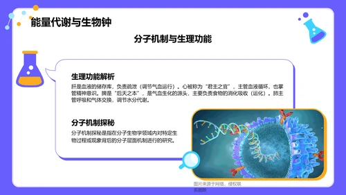 紫色插画风高中生物课程教学课件PPT模板