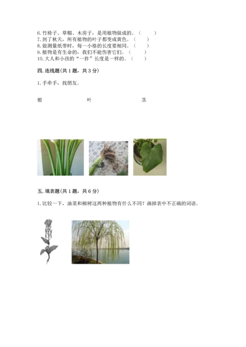 教科版一年级上册科学期末测试卷带答案（新）.docx