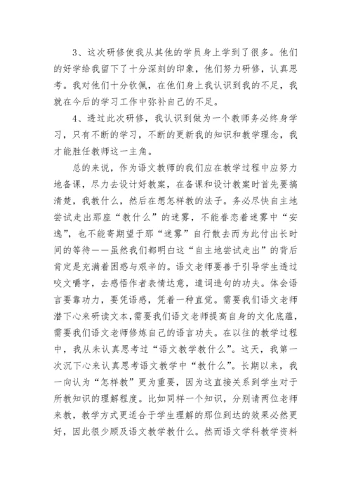 2023小学语文教师研修总结5篇.docx