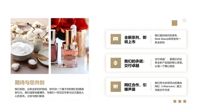 商务风含图片PPT列表